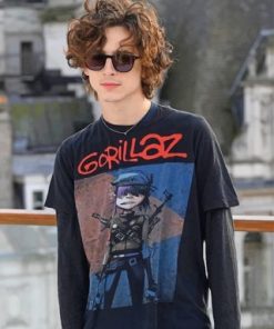 Stylish Timothee Chalamet Paint By Numbers