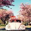 Volkswagen Beetle And Cherry Blossom Paint By Numbers