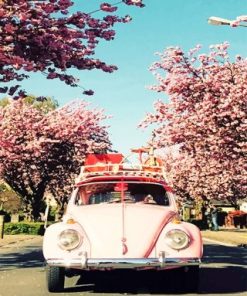 Volkswagen Beetle And Cherry Blossom Paint By Numbers