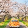 Yellow Volkswagen And Cherry Blossom Paint By Numbers