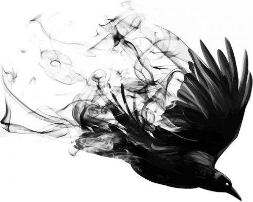 Bird Smoke Paint By Numbers