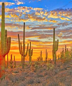 Cactus Arizona Desert Paint By Numbers