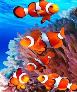 Colorful Clown Fish Paint By Numbers