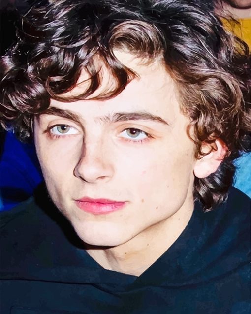 Cute Timothee Chalamet Paint By Numbers