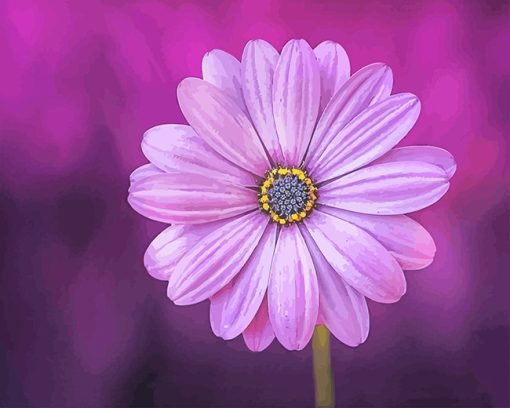 Purple Flower Paint By Numbers