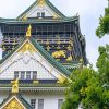 Japan Osaka Castle Paint By Numbers