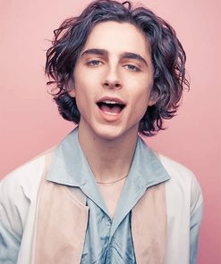 Timothee Chalamet Photoshoot Paint By Numbers