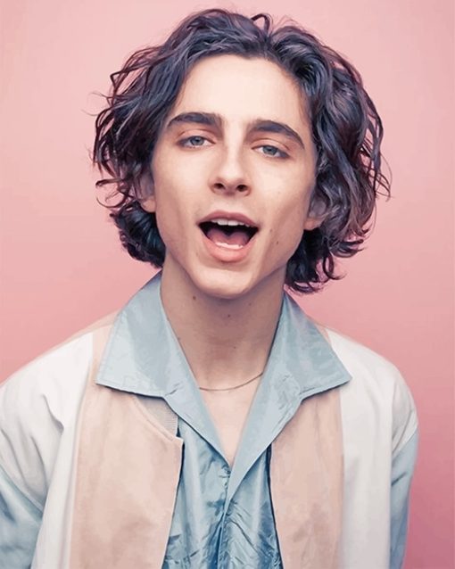 Timothee Chalamet Photoshoot Paint By Numbers