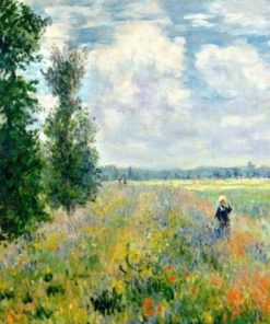 Claude Monet Poppy Field Paint By Numbers