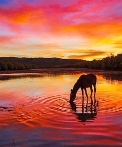 Horse Sunset Paint By Numbers