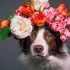 Dog With Colored Flowers Crown paint by numbers