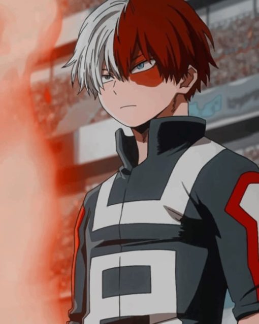 Aesthetic Shoto Todoroki Paint by numbers