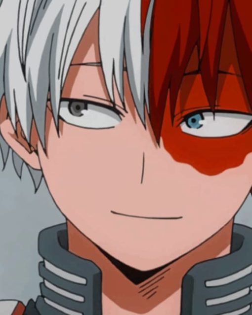 Todoroki paint by numbers