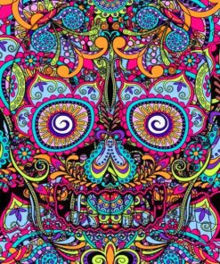 Colorful Skull Paint by numbers