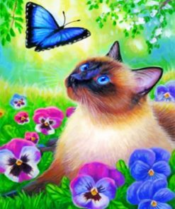 Cat And Blue Butterfly Paint by numbers