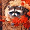 Raccoon In The Fall paint by numbers