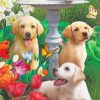 labradors in garden paint by numbers