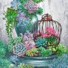 Succulent Plants Garden paint by numbers