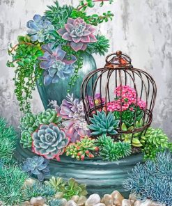 Succulent Plants Garden paint by numbers