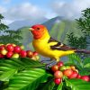 western-tanager-paint-by-number