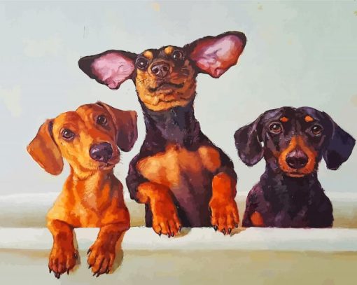 Dachshunds Dogs Paint by numbers