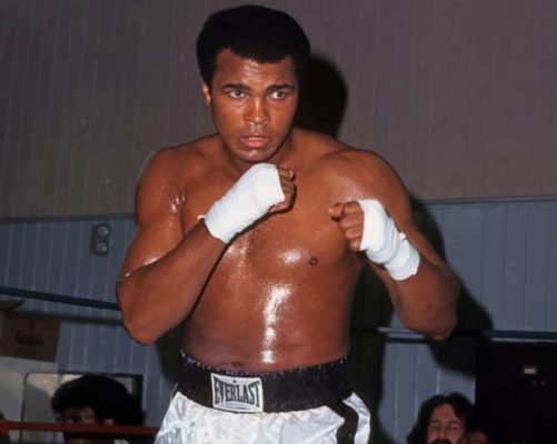 the-boxer-muhammad-ali-paint-by-number