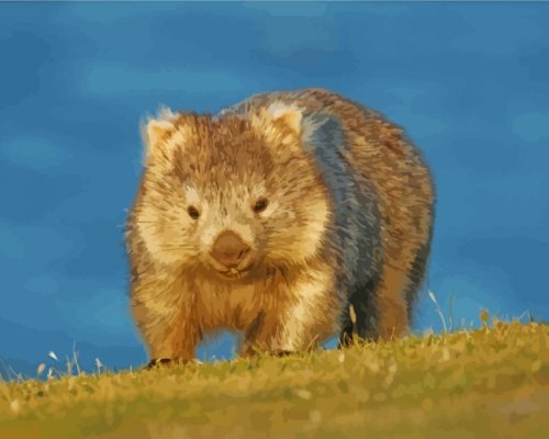 australia-wombat-paint-by-numbers