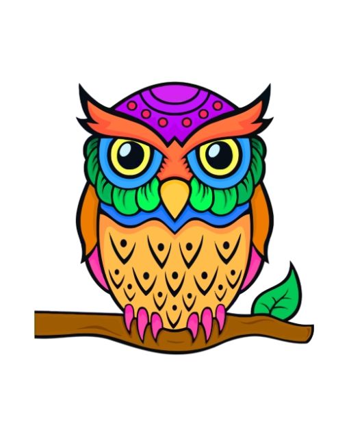 colorful-owl-paint-by-numbers