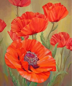 red-poppies-paint-by-numbers