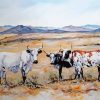 Nguni Herd Paint by numbers