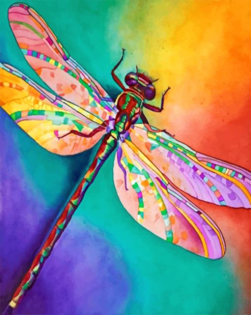 colorful-dragonfly-paint-by-numbers