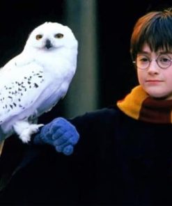 Harry Potter and Owl Paint by numbers