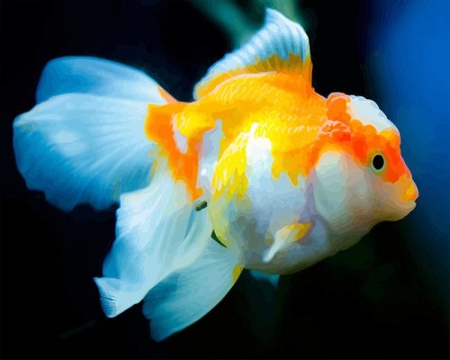 golden-blue-fish-adult-paint-by-numbers