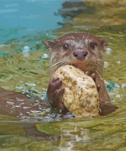 north-american-river--beaver-otter-paint-by-numbers