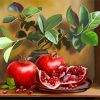 Pomegranate Fruits paint by numbers