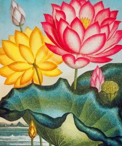 water-lily-vintage-art-paint-by-numbers