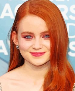 American Actress Sadie Sink Paint By Numbers