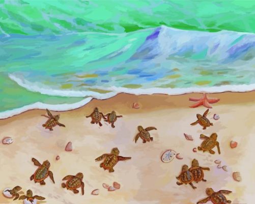 Baby Turtles By Beach Paint By Numbers