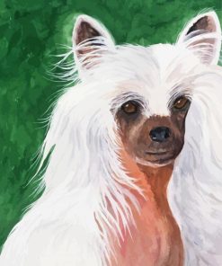 Chinese Crested Dog Paint By Numbers