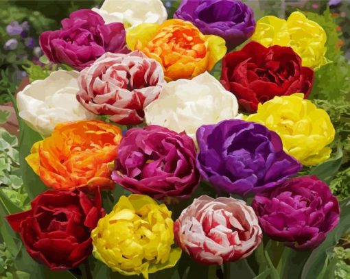 Colorful Peony Tulip Flowers Paint By Numbers