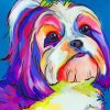 Colorful Shih Tzu Dog Animal Paint By Numbers