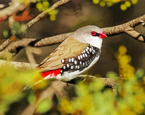 Diamond Firetail On A Branch Paint By Numbers