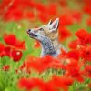 Fox In Red Flowers Paint By Numbers