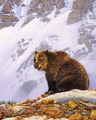 Grizzly Bear In The Mountain Paint By Numbers