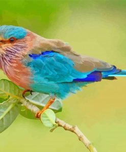 Indian Roller Bird Paint By Numbers