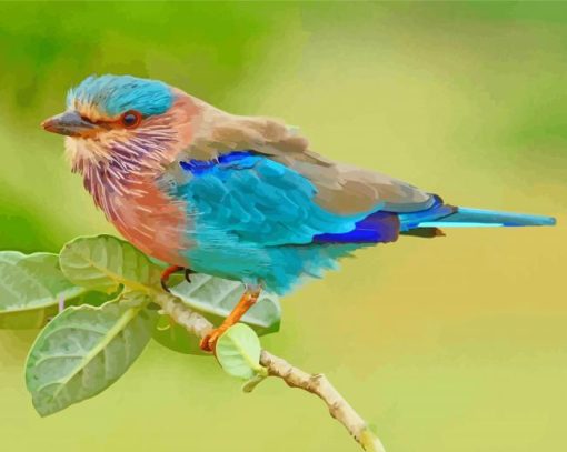 Indian Roller Bird Paint By Numbers