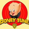 Looney Tunes Porky Pig Paint By Numbers