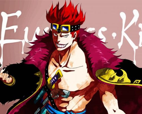 One Piece Character Eustass Kid Paint By Numbers