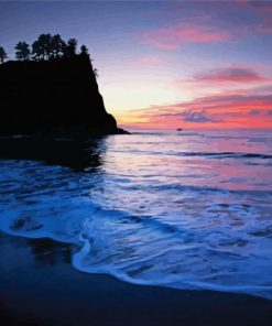 Rialto Beach Washington Olympic National Park Paint By Numbers