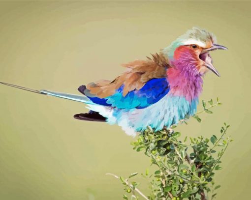 Roller Bird Vocalization Paint By Numbers